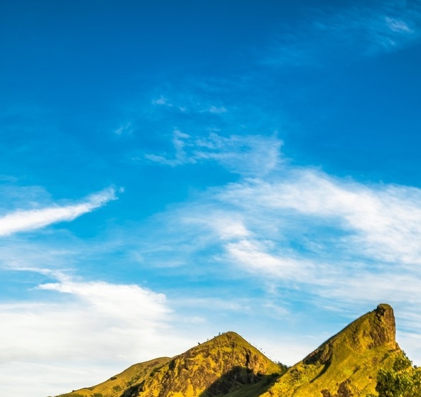 粉象生活下载app