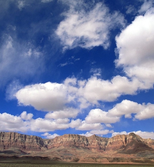 粉象生活现在有哪些活动