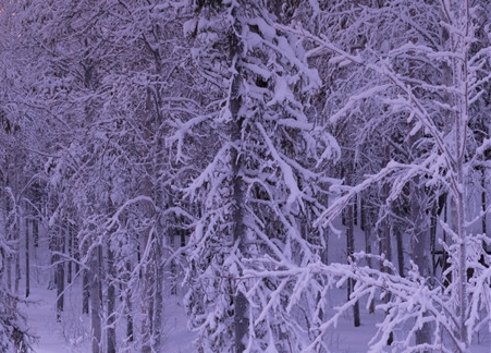 怀化一刻钟生活圈