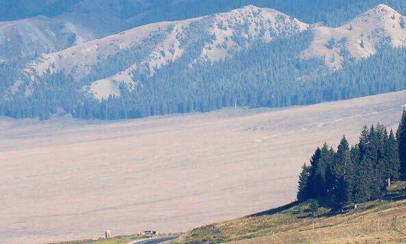 粉象生活可以赚钱吗