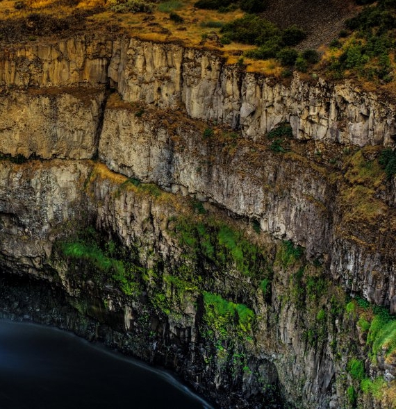 粉象生活邀请码