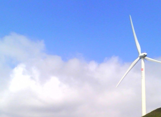 好省和粉象生活哪个好