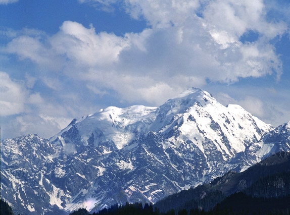 粉象生活是怎么赚钱的