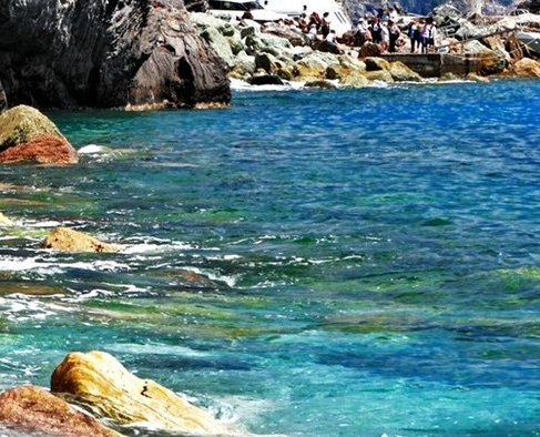 粉象生活外卖佣金