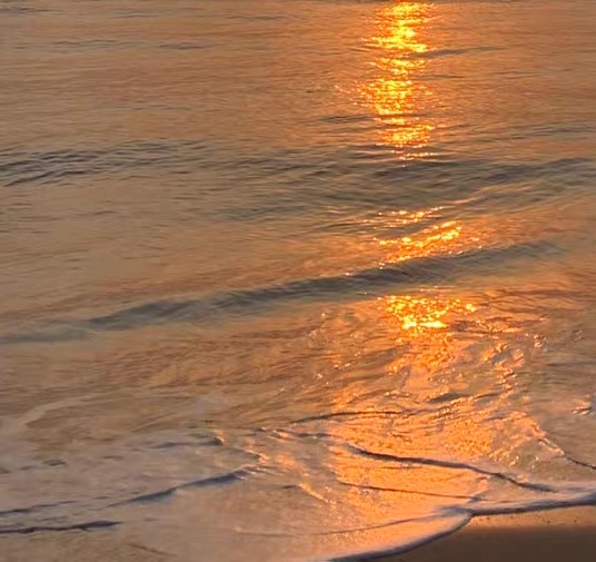 粉象生活推广工作