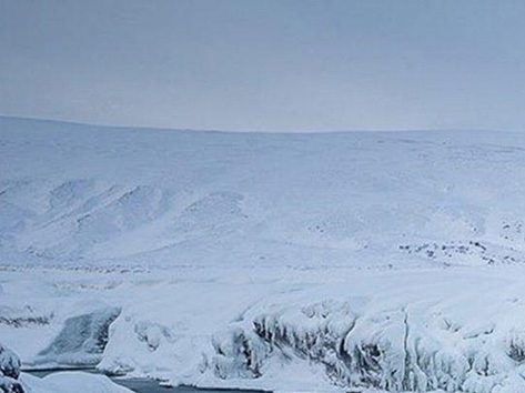 粉象生活是怎么赚钱的