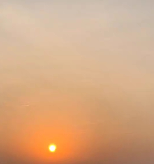 怎么才能粉象生活挣钱