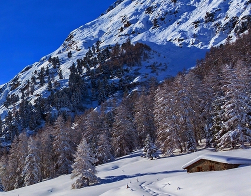 粉象生活怎么取消绑定邀请人