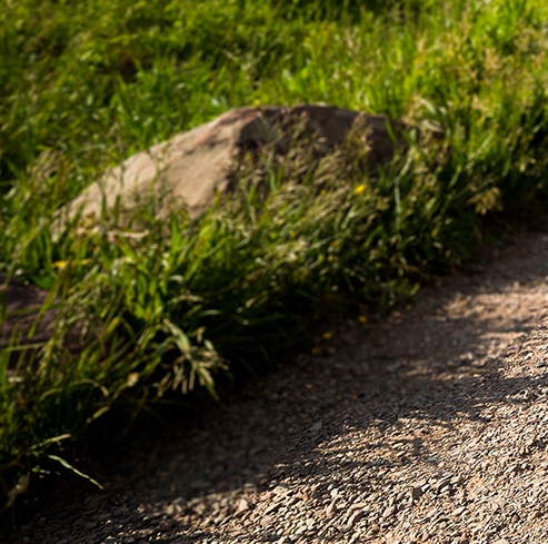 粉象生活后台收益