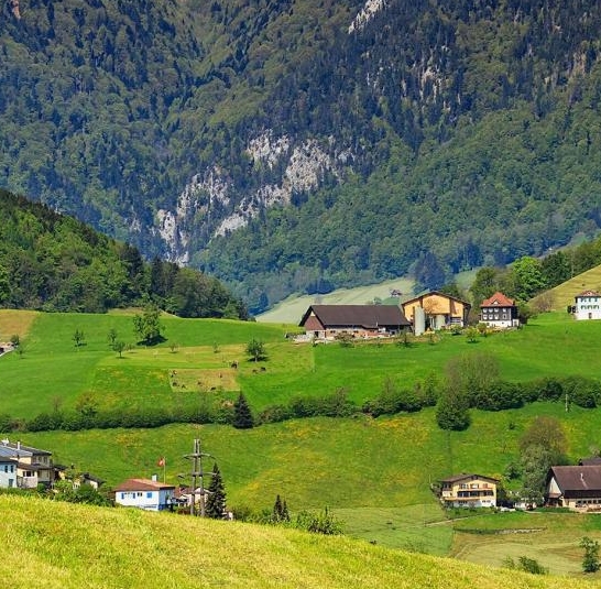 粉象生活行动派