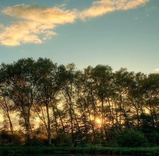 粉象生活代理费