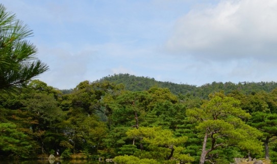 粉象生活 招聘