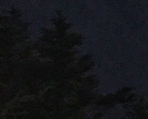 粉象生活是怎么赚钱的