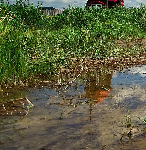 粉象生活怎么推广粉象生活