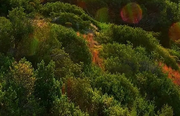 粉象生活平台邀请的粉丝