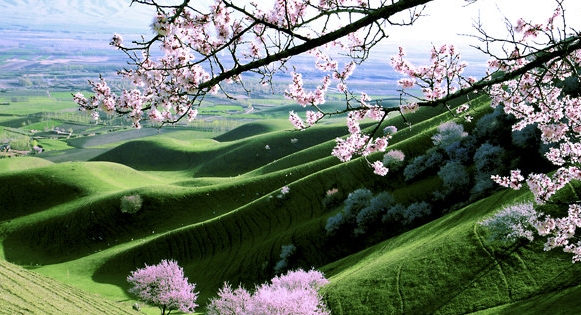 粉象生活邀请码