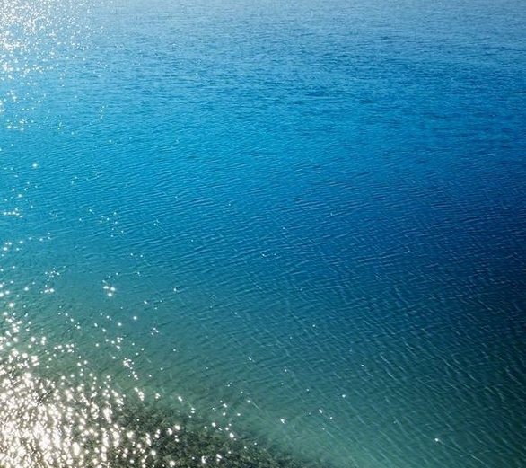 完美的生活行动派