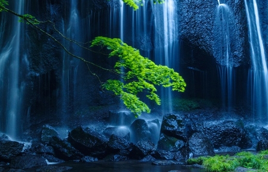 粉象生活签名