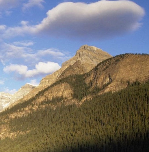 吉林创新粉象生活