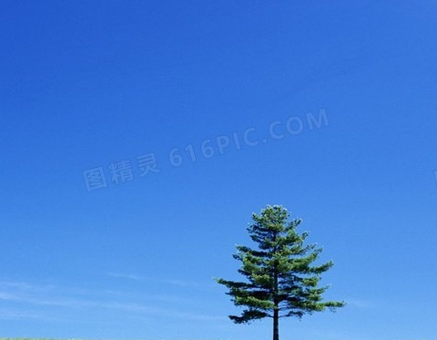 粉象生活是怎么赚钱的