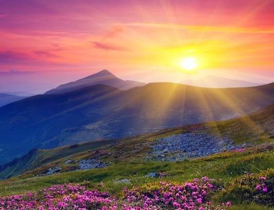 粉象生活京东订单