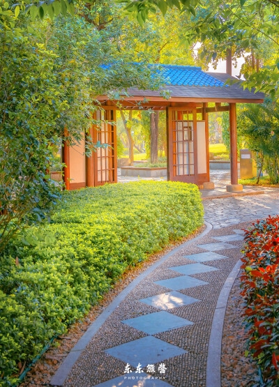 粉象生活app