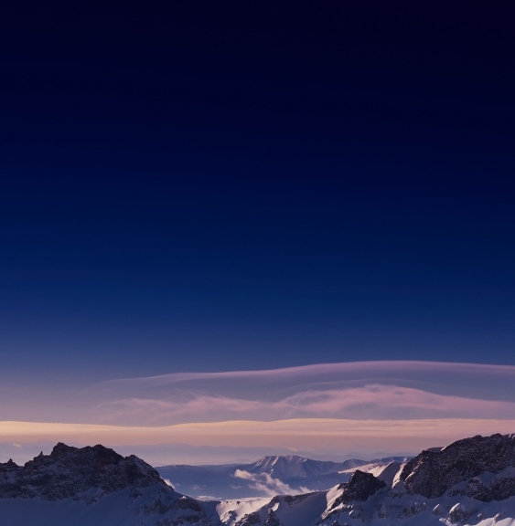 粉象生活注册用什么