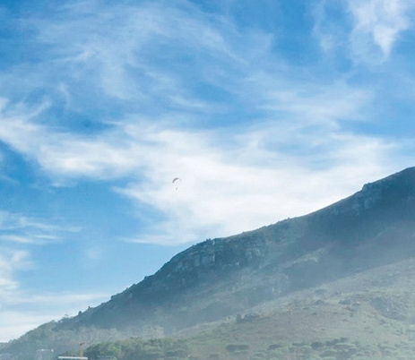 粉象生活下载app