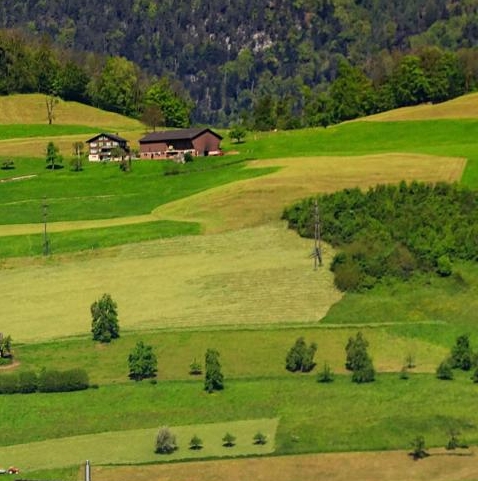 粉象生活升级太难