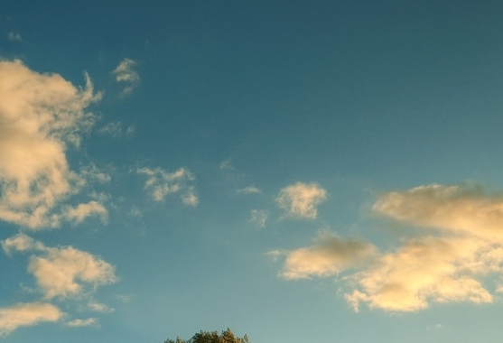 粉象生活怎么领优惠券