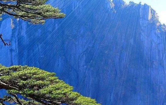 粉象生活