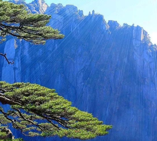 粉象生活