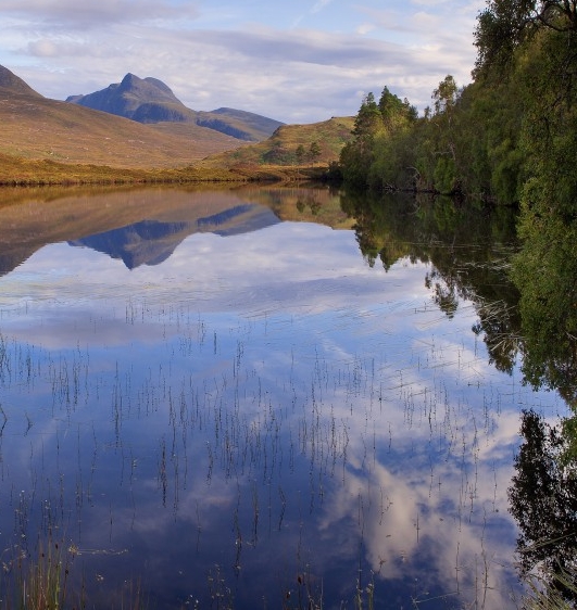 广州粉象生活加盟代理