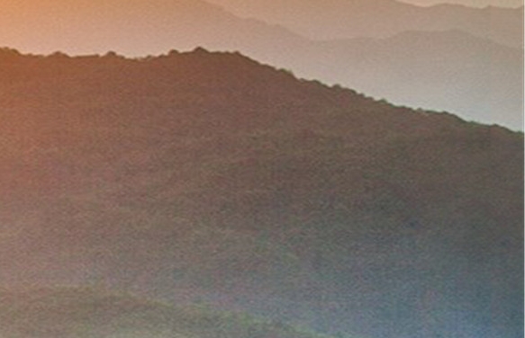 在杭州生活的真实感受