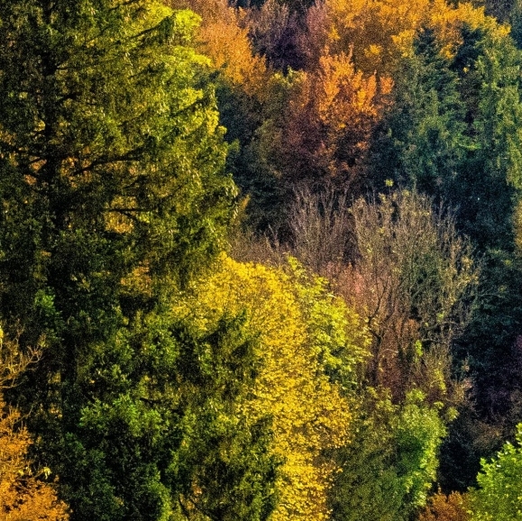 粉象生活到底能不能做