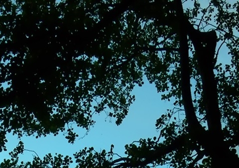 杭州粉象生活真实情况