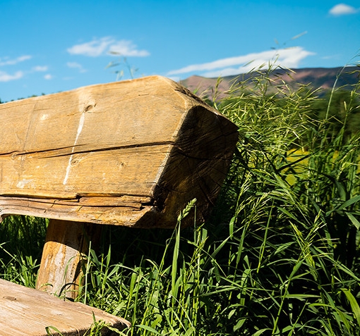 广州粉象生活能拿几代佣金