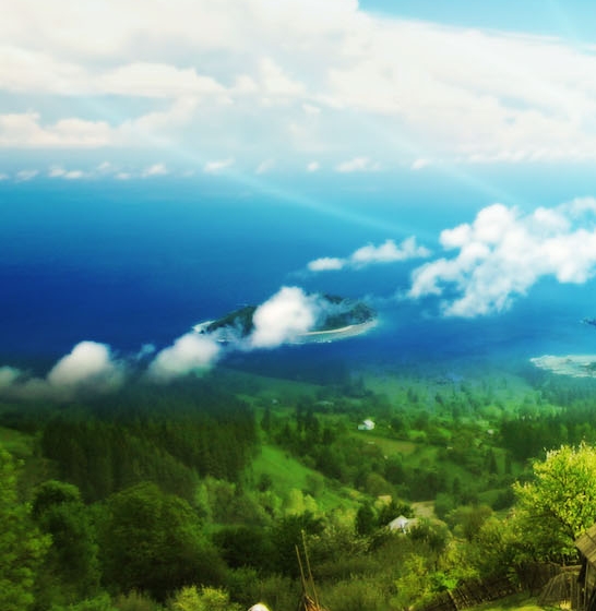 《粉象生活》标语