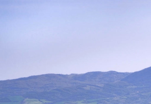 粉象生活哪个版本的好