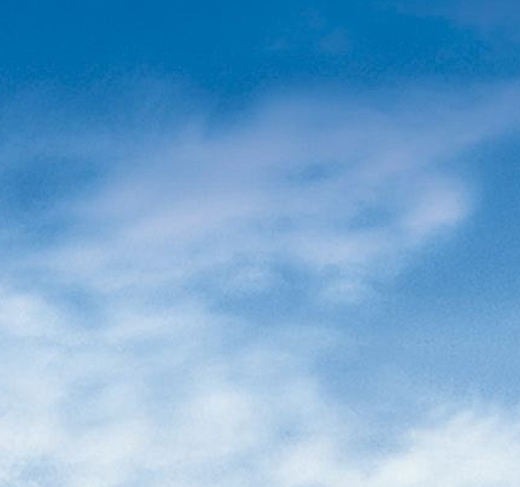 粉象生活邀请码