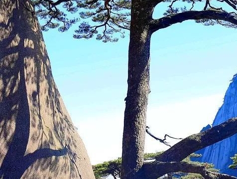 粉象生活怎么看粉丝的订单