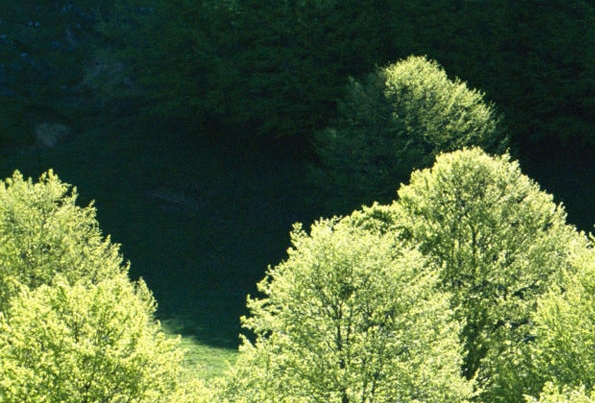 淘宝粉象生活邀请码