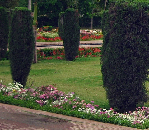 粉色都有哪些粉