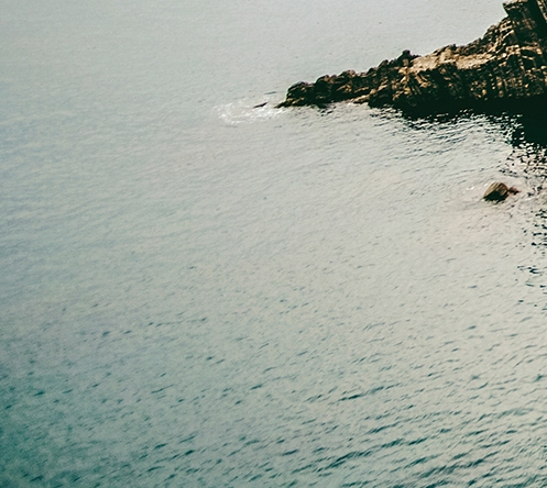 粉象生活可以赚钱吗