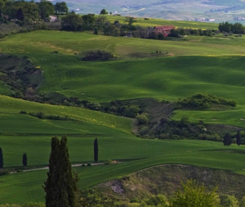 白象新技术公司官网