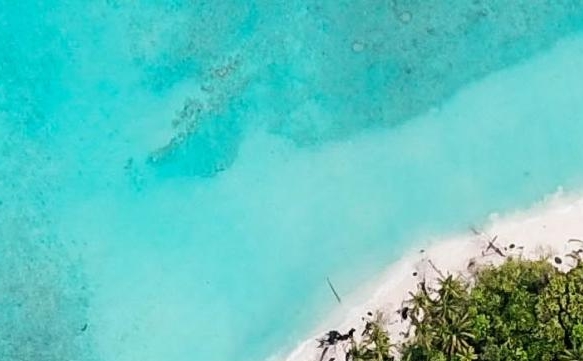 下载粉象生活app下载