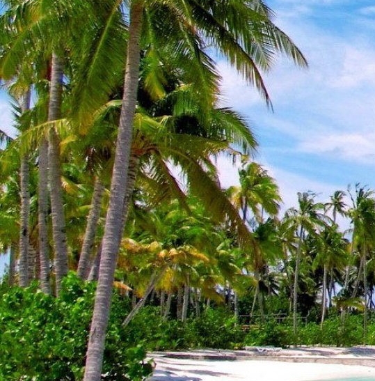 粉象生活邀请码选哪个好