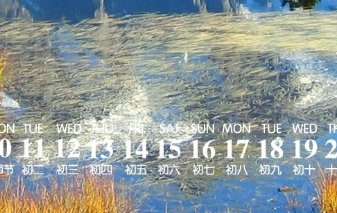 粉象生活是正规平台吗