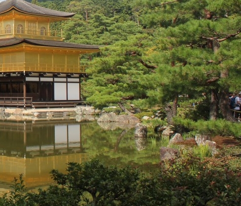 粉象生活一天几百是真是假