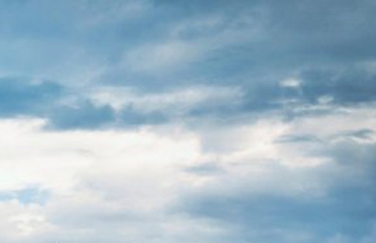 粉象生活的返利是真的吗